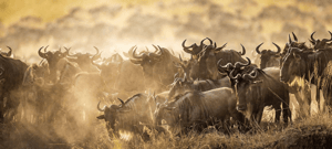 10 Bucket-List Zanzibar Beaches You Need to Visit Now