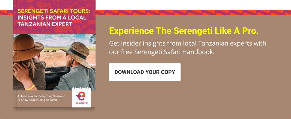 easy_travel_handbook_blog