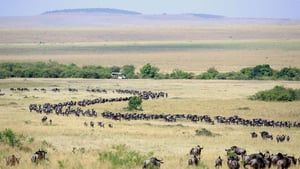 Day 3 Accommodation Image Alt