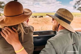 A Go-To Guide For Booking A Trip To Tanzania With Easy Travel
