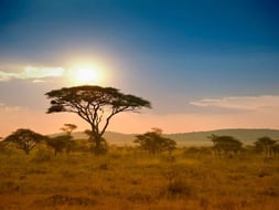Top 10 things to do in Tanzania