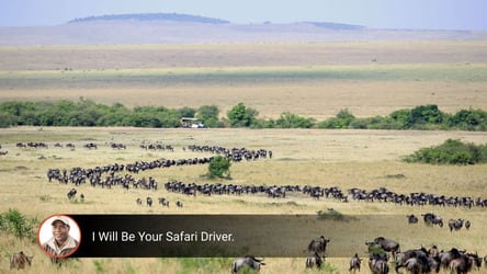 12 Days Serengeti Lions and Wildebeest Migration Safari
