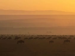 Weather and climate in the Serengeti