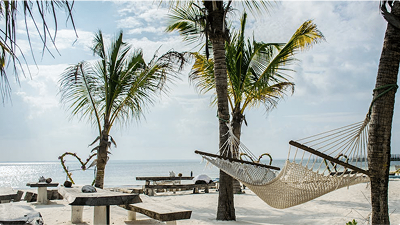 Lorem ipsum dolor sit amet consectetur.