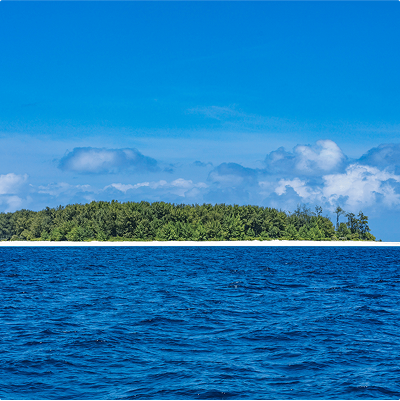 Lorem ipsum dolor sit amet consectetur.