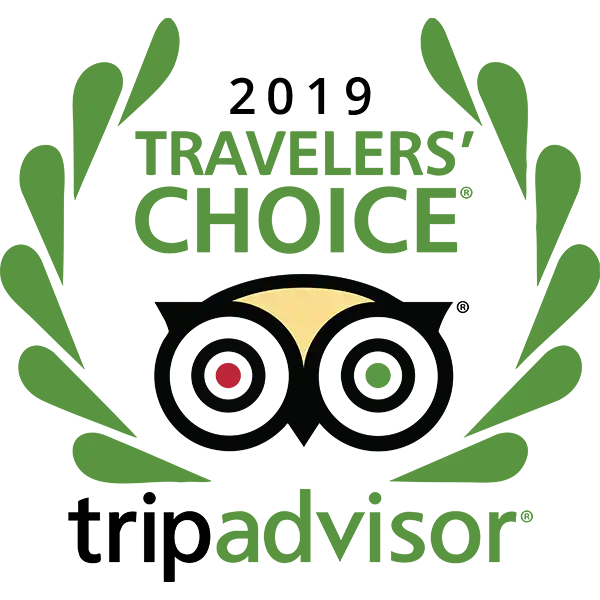 Tripadvisor - 2019