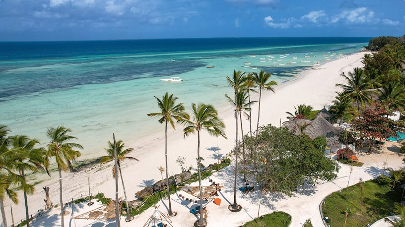 Must-Have Experiences for the Ultimate Luxury Tanzania Safari