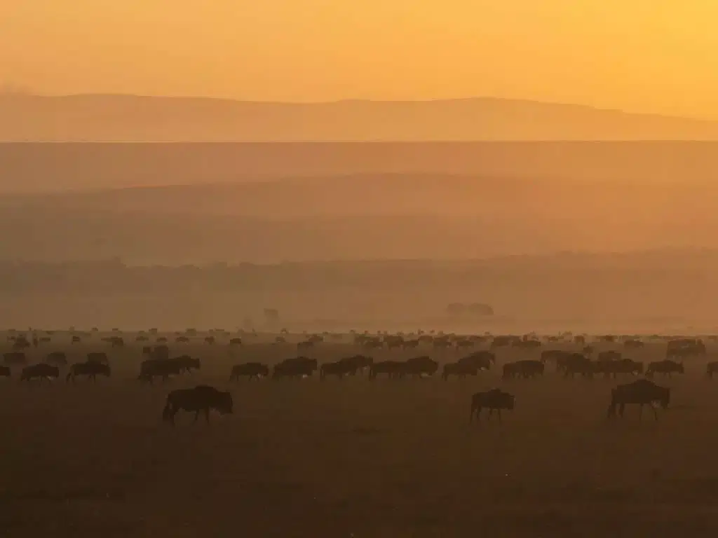 Weather and climate in the Serengeti