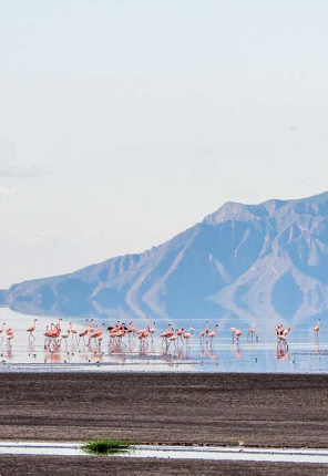 Lake Natron