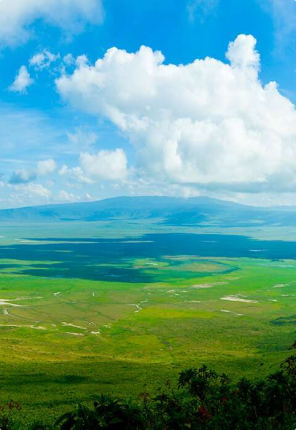 Ngorongoro
