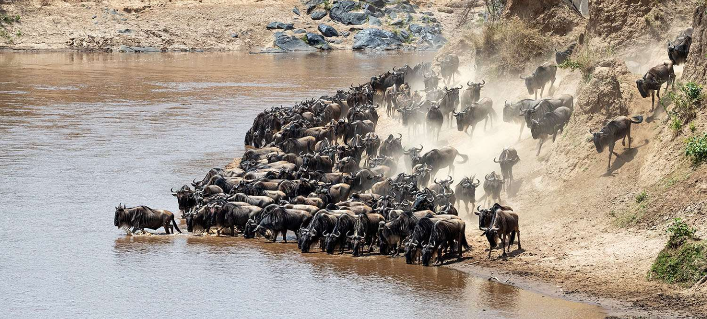 Budget Safaris: Explore the Cheapest African Countries to Visit